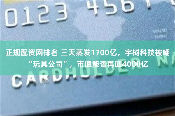 正规配资网排名 三天蒸发1700亿，宇树科技被嘲“玩具公司”，市值能否再回4000亿