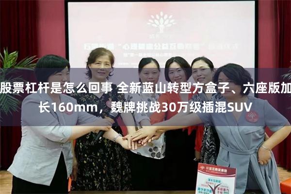 股票杠杆是怎么回事 全新蓝山转型方盒子、六座版加长160mm，魏牌挑战30万级插混SUV