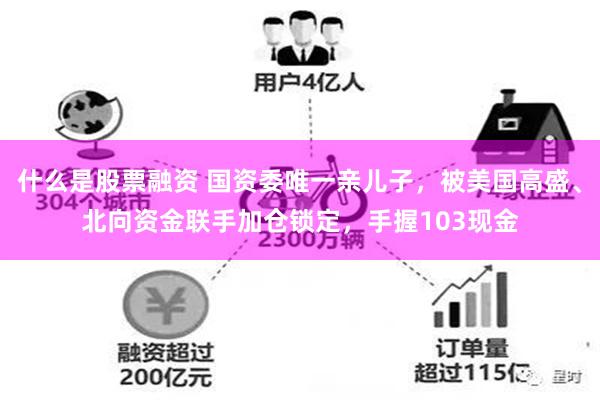 什么是股票融资 国资委唯一亲儿子，被美国高盛、北向资金联手加仓锁定，手握103现金