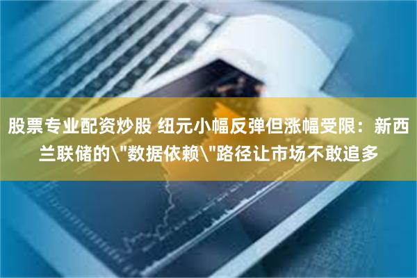 股票专业配资炒股 纽元小幅反弹但涨幅受限：新西兰联储的