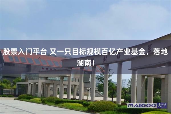 股票入门平台 又一只目标规模百亿产业基金，落地湖南！