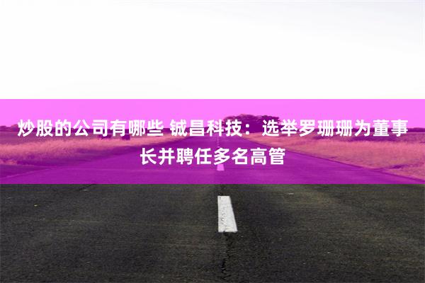 炒股的公司有哪些 铖昌科技：选举罗珊珊为董事长并聘任多名高管