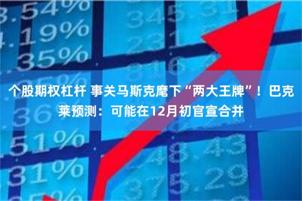个股期权杠杆 事关马斯克麾下“两大王牌”！巴克莱预测：可能在12月初官宣合并