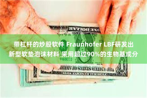 带杠杆的炒股软件 Fraunhofer LBF研发出新型软垫泡沫材料 采用超过90%的生物基成分